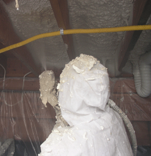 Kelowna BC crawl space insulation