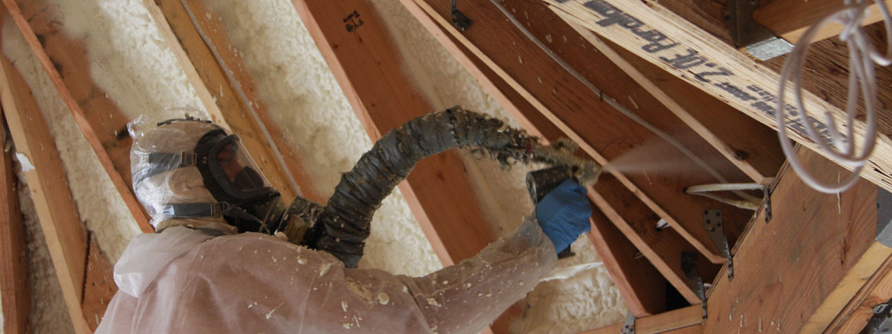 Kelowna British Columbia Attic Insulation Spray Foam